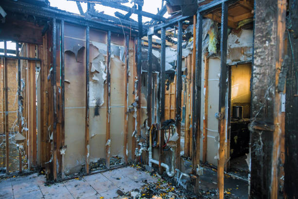 Professional Fire Damage Removal technician working in Whiteriver, AZ